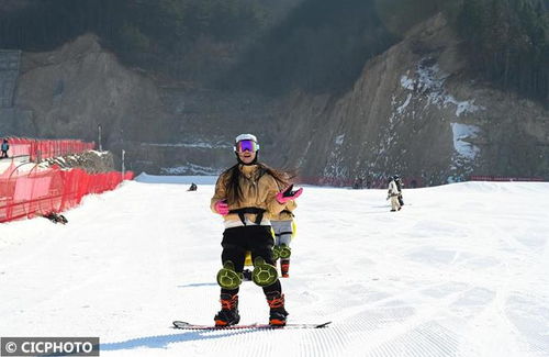 冰雪运动活力足，冷气不减火热心