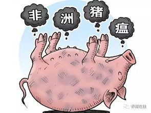杭州一家六口出游遭遇甲流疫情，五人不幸感染的经历与反思