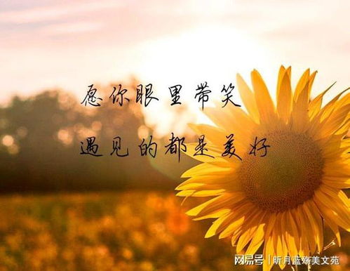 世间始终你好（93集）——张集骏的独特人生轨迹