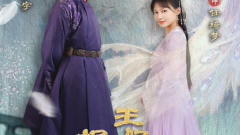 报告王爷王妃是凤女（78集）