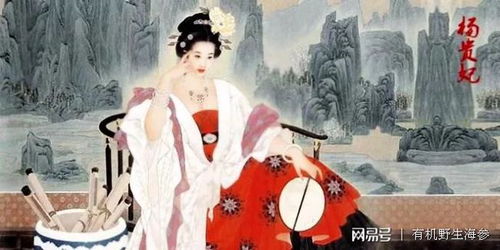贵妃路子野剧情解析（79集）