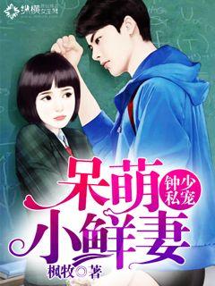 陆少的私宠罪妻