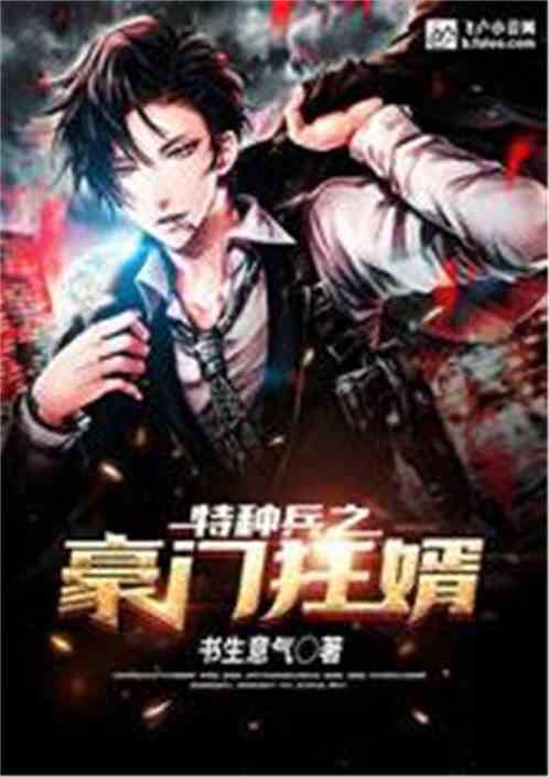 狂婿至尊，权力与爱情的交织（100集深度解析）
