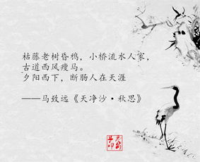 莫说相思已入骨（88集）