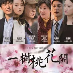 极品上门女婿，家族荣耀与情感纠葛的86集精彩展现