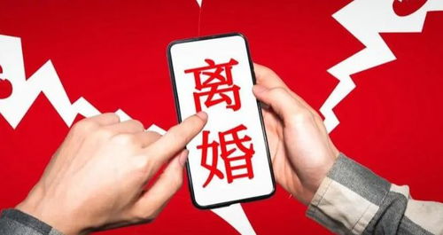 婚不厌诈，深度解析婚姻的智慧与策略（80集）