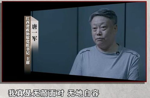 唐一军出镜忏悔，无地自容的深刻反思与自省之路