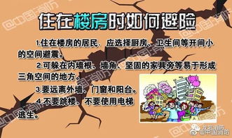 媒体聚焦，地震中背同学逃生的英勇少年获奖励