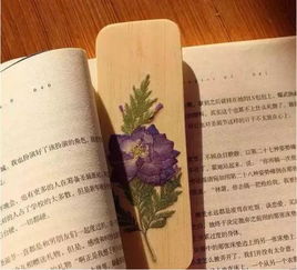 不负春和景宁，孟娜的故事（81集系列）