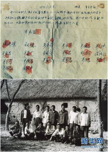 督军大人总想造福百姓（80集）