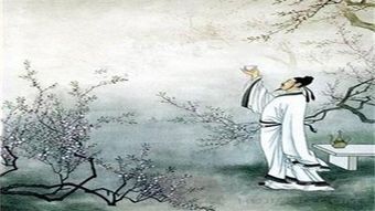 燕南飞，燕难归（31集）