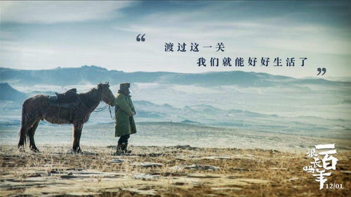 被偷走的人生，探寻失去的时间与意义