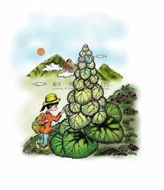 植物人与植物人系列，探索生命边缘的奇迹