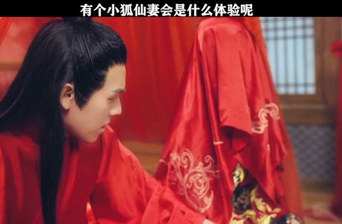 小妻太撩（81集）
