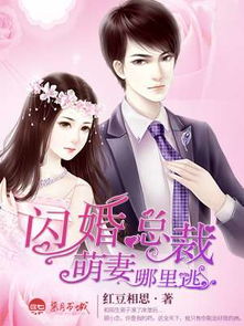 闪婚总裁超宠我