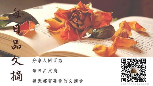 叶少归来（80集），命运与重逢的交织