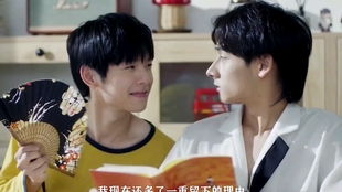 只愿从来不识君（电视剧剧本，共80集）