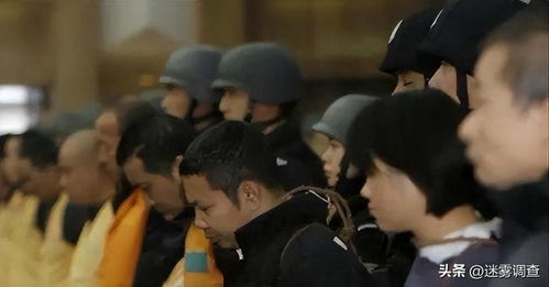 全球直播，女儿判我死刑（81集）