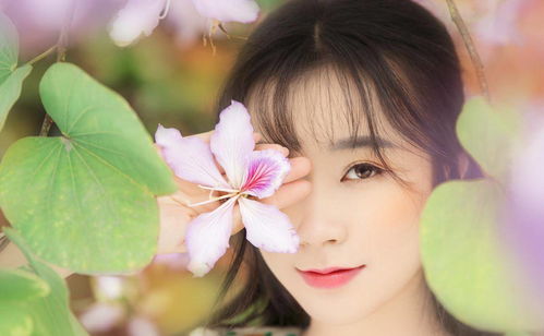 弃婚后，高冷女总裁攀我高枝（80集）