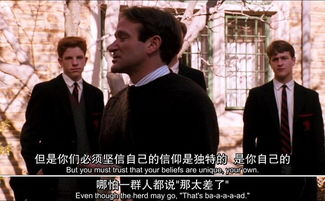 拨开云雾见晴天，深度解析第95集背后的故事与启示（全剧共XX集）