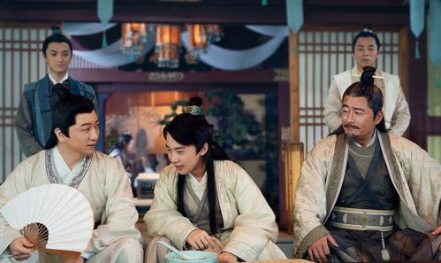 我要当赘婿，赘婿之路的坎坷与挑战（共80集）