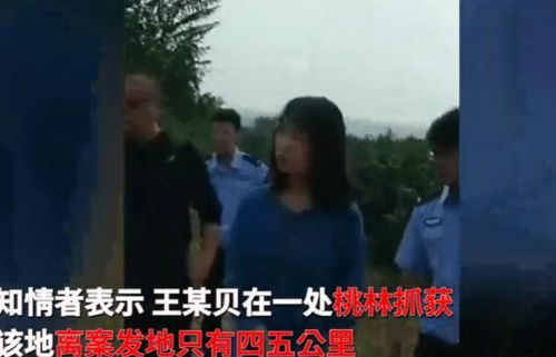 腰间指痕（89集），探寻背后的故事与情感纠葛