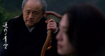 我男人他父凭子贵（90集）
