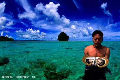 乘风破浪之萌宝大反攻（80集）剧情解析及观感分享