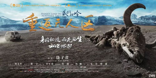 在煲戾少帅心上撒野——一场跨越时空的浪漫冒险（99集）