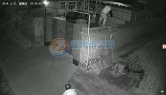 凌晨惊魂，三名男子入室盗窃，不到二十四小时便被警方擒获