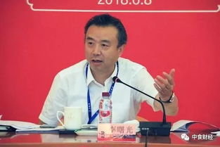 五粮液集团原董事长李曙光被查，探究背后的故事与启示