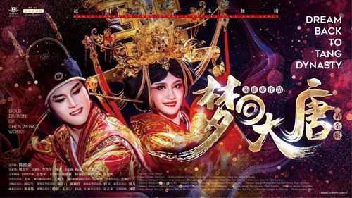 新版，回到古代当驸马——时空穿越的奇幻之旅（100集）
