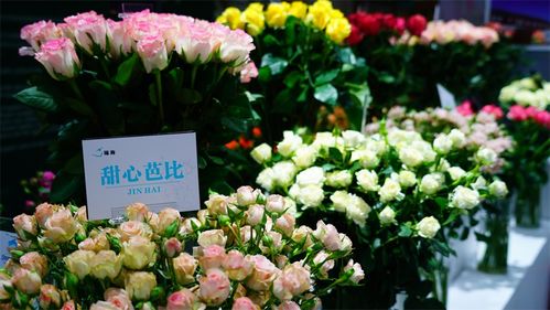 花束之恋，一场缤纷绚烂的76集浪漫之旅