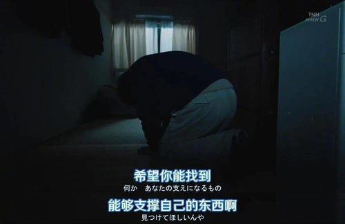曾将真心错付，一场深情与背叛的交织（第95集深度解析）