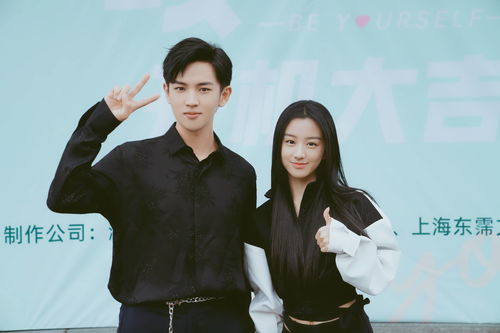 偏执凌少宠妻如命——深度解析一部甜蜜爱情剧（共100集）