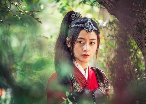 至尊红颜壮志凌云，英雄之志，美人之韵（80集史诗巨制）
