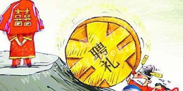 我出彩礼30亿，一场文化与情感的碰撞与融合（88集深度解析）