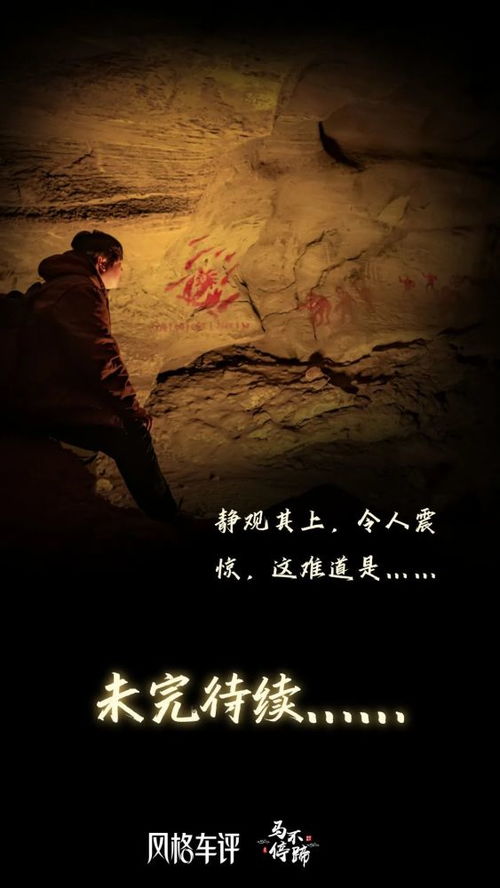 洞观（83集），陈洁蕾的洞察与探索之旅