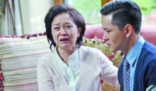 盛总你找错孩子和夫人了，真假萌宝的故事（82集）