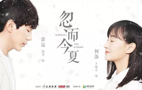奈何少将要娶我，一段跨越界限的情感故事