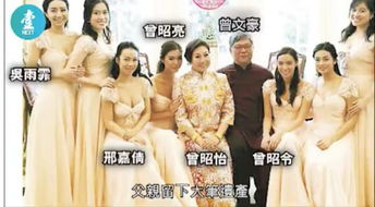 老娘的金丝雀竟是世界首富（31集）