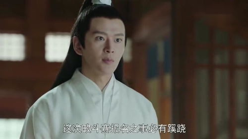 大师兄为何不娶我（84集）