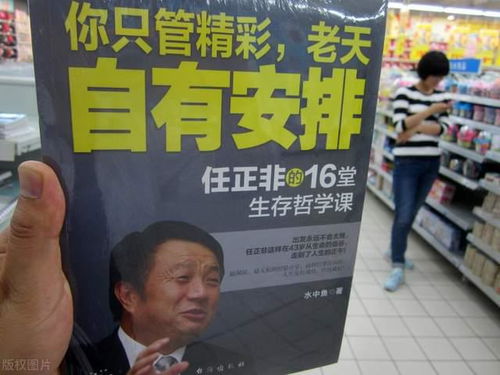 开局，一万亿（73集）——探寻成功的奥秘与策略