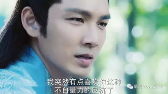 孤注一掷再见前妻，离婚后高冷女总裁的泪目告别（81集剧情深度解析）
