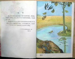 八零养娃往事（100集）