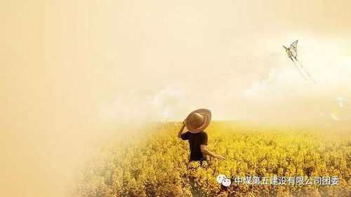 我的悲伤与你有关（100集）