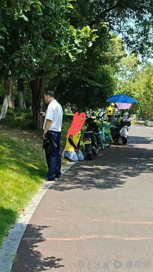 菜地中间设红绿灯？社区回应