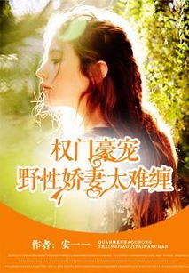 权宠悍妻，权力与情感的较量
