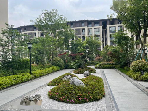 反攻！从顶流做起——许若彤的奋斗篇章（共81集）