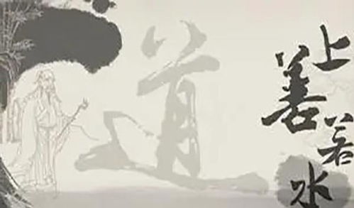 寡妇成仙记，逆境中的坚韧与自我超越